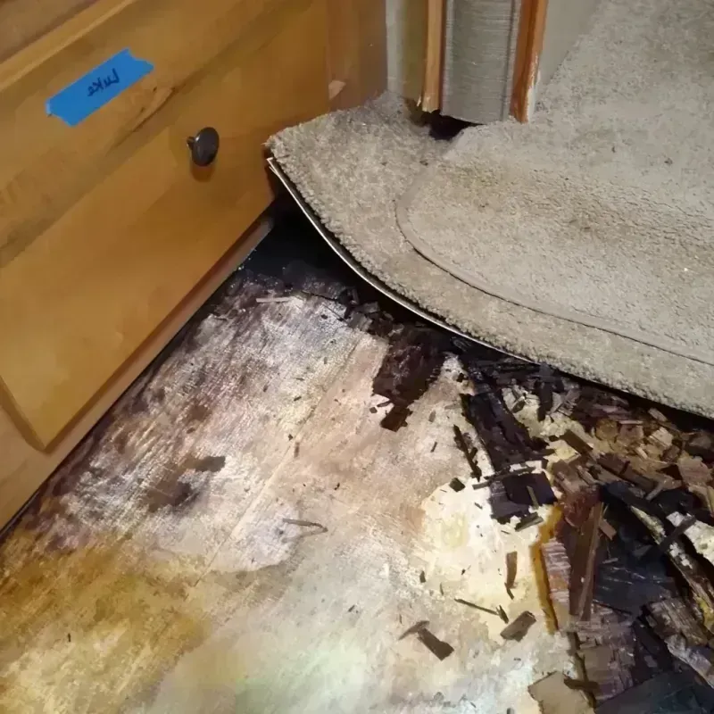 Wood Floor Water Damage in Baker County, FL